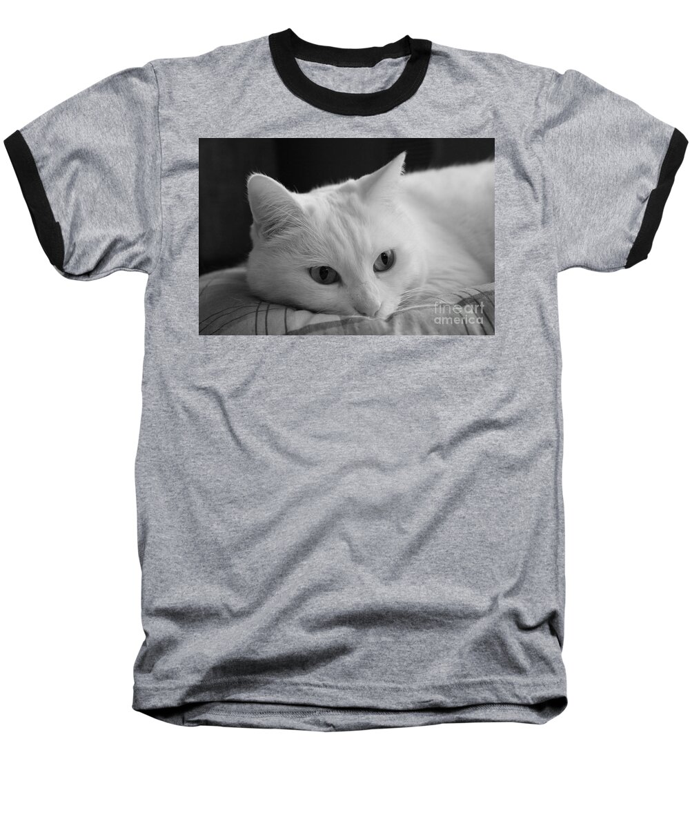 Gatto Baseball T-Shirt featuring the photograph The Dreamer Cat by Donato Iannuzzi