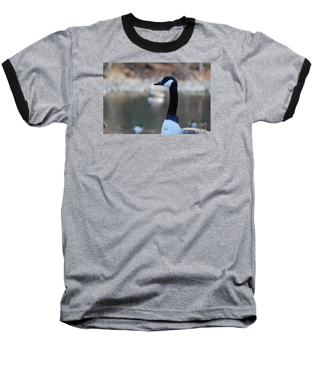 Goose Baseball T-Shirt featuring the photograph The Gander by David Jackson