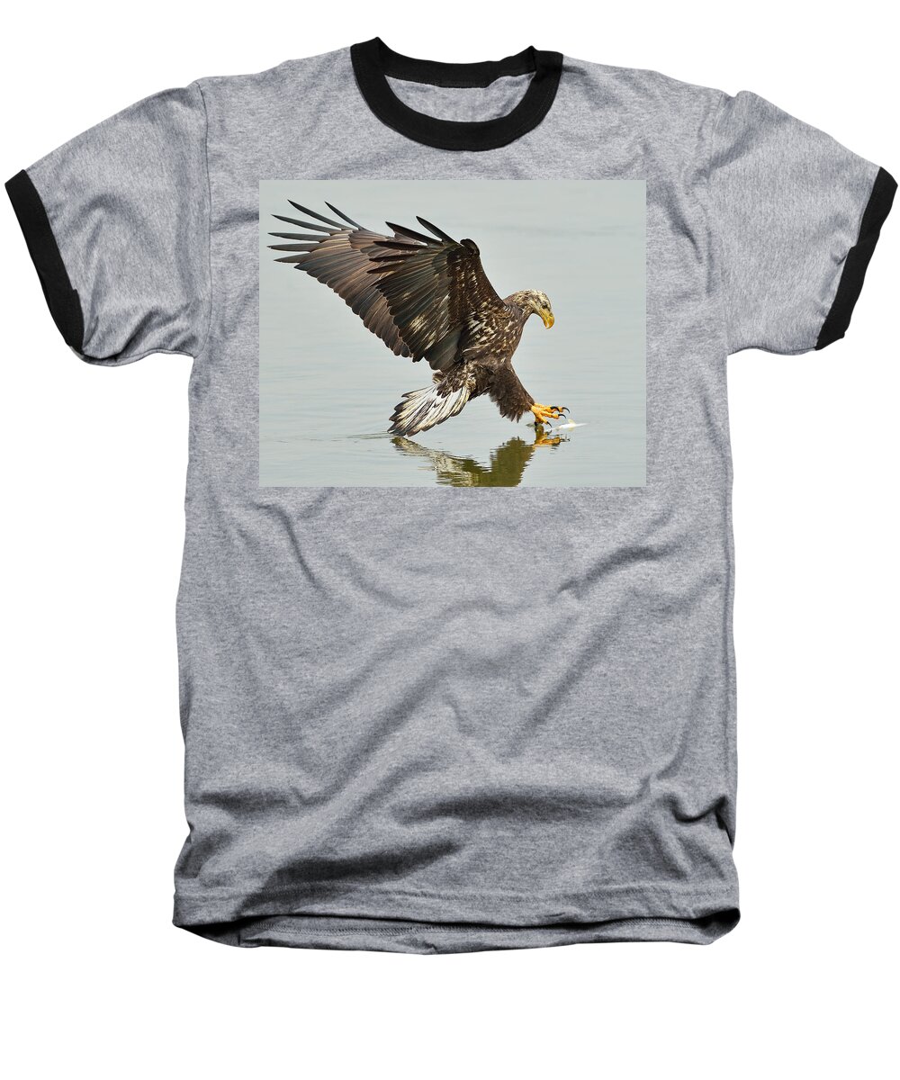Eagle Baseball T-Shirt featuring the photograph The Grab -- A Young Eagle Hunting by William Jobes