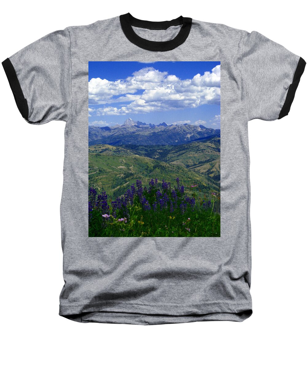 Lupines Baseball T-Shirt featuring the photograph The Grand and Lupines by Raymond Salani III