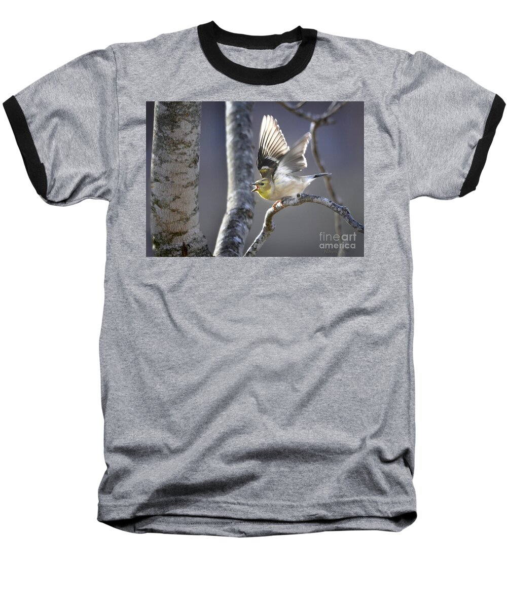 Nature Baseball T-Shirt featuring the photograph The High Notes by Nava Thompson