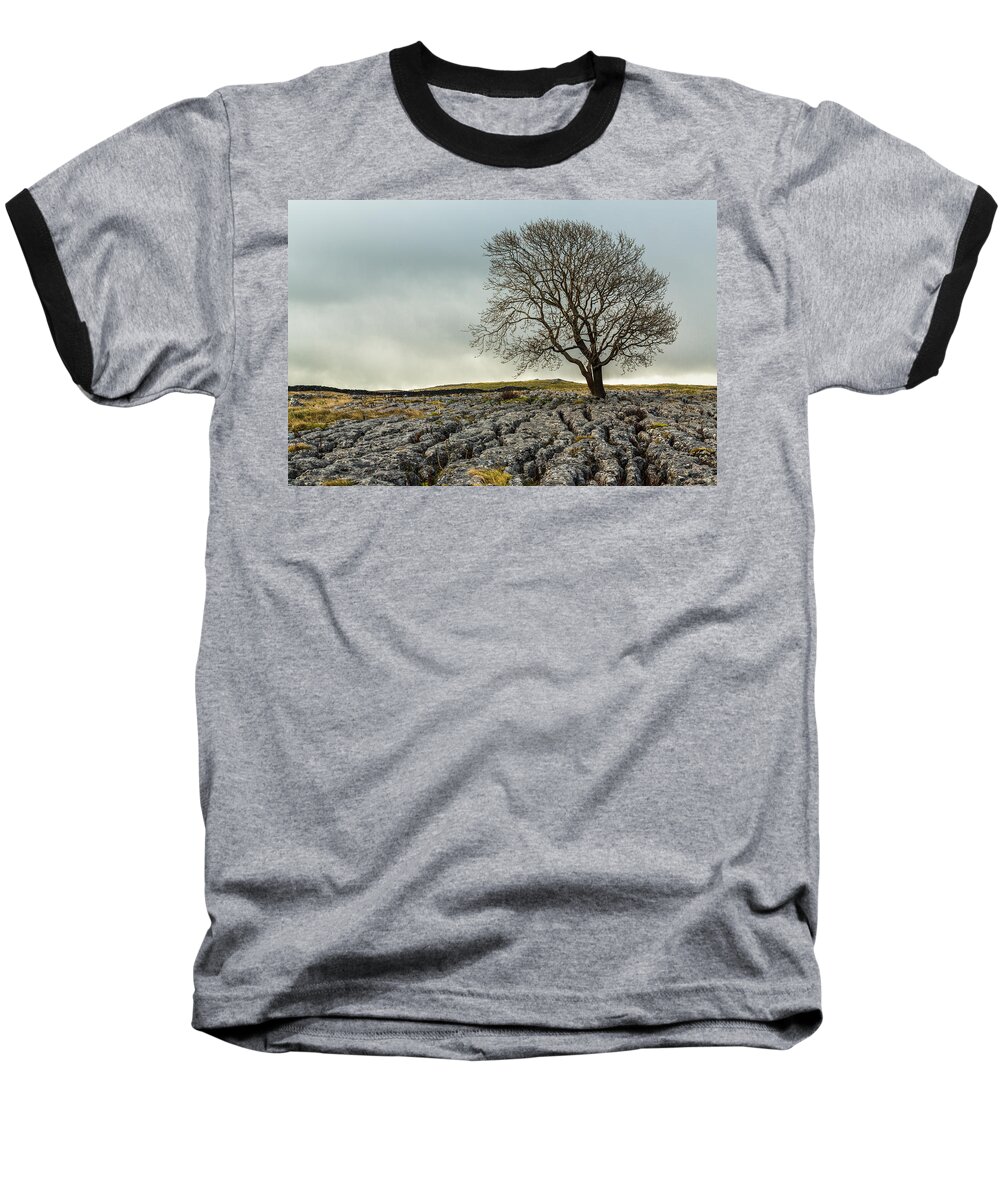 Tree Baseball T-Shirt featuring the photograph The lonely tree by Sue Leonard