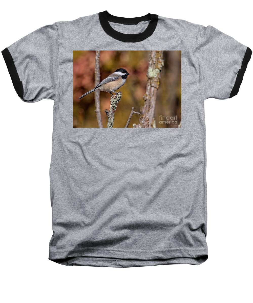 Chickadee Baseball T-Shirt featuring the photograph The Perch by Jan Killian