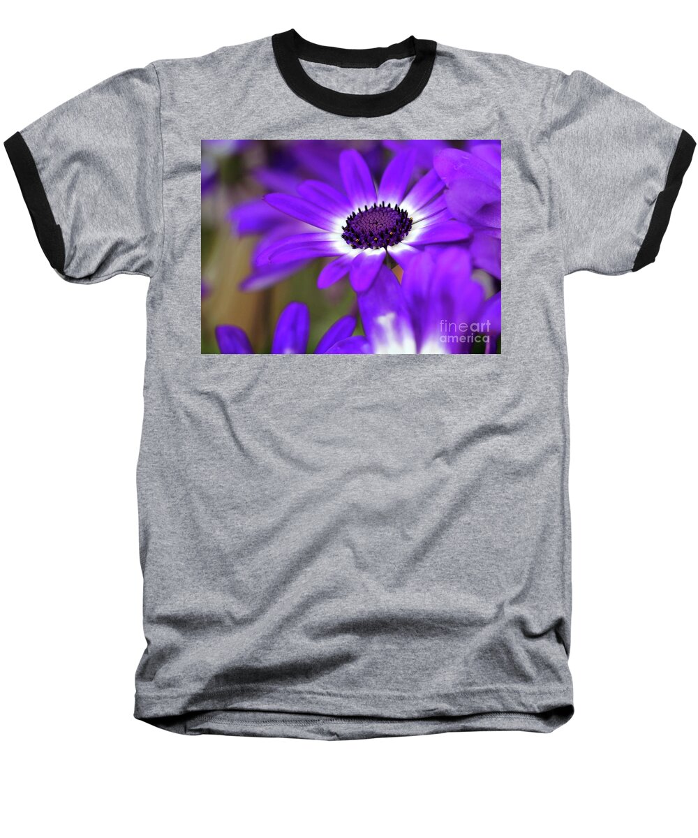 Flower Baseball T-Shirt featuring the photograph The Purple Daisy by Sabrina L Ryan