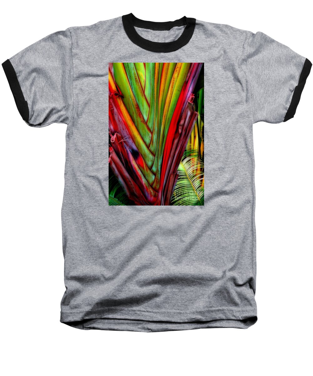 Jungle Photography Baseball T-Shirt featuring the photograph The Red Jungle by Joseph J Stevens