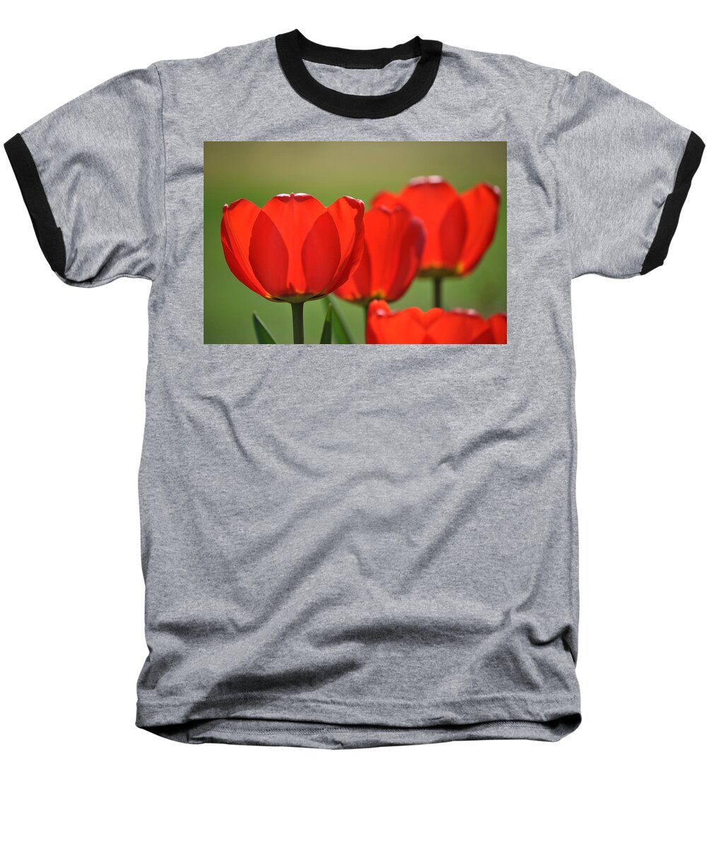 Easter Greeting Card Baseball T-Shirt featuring the photograph The Red Tulips by Eric Liller