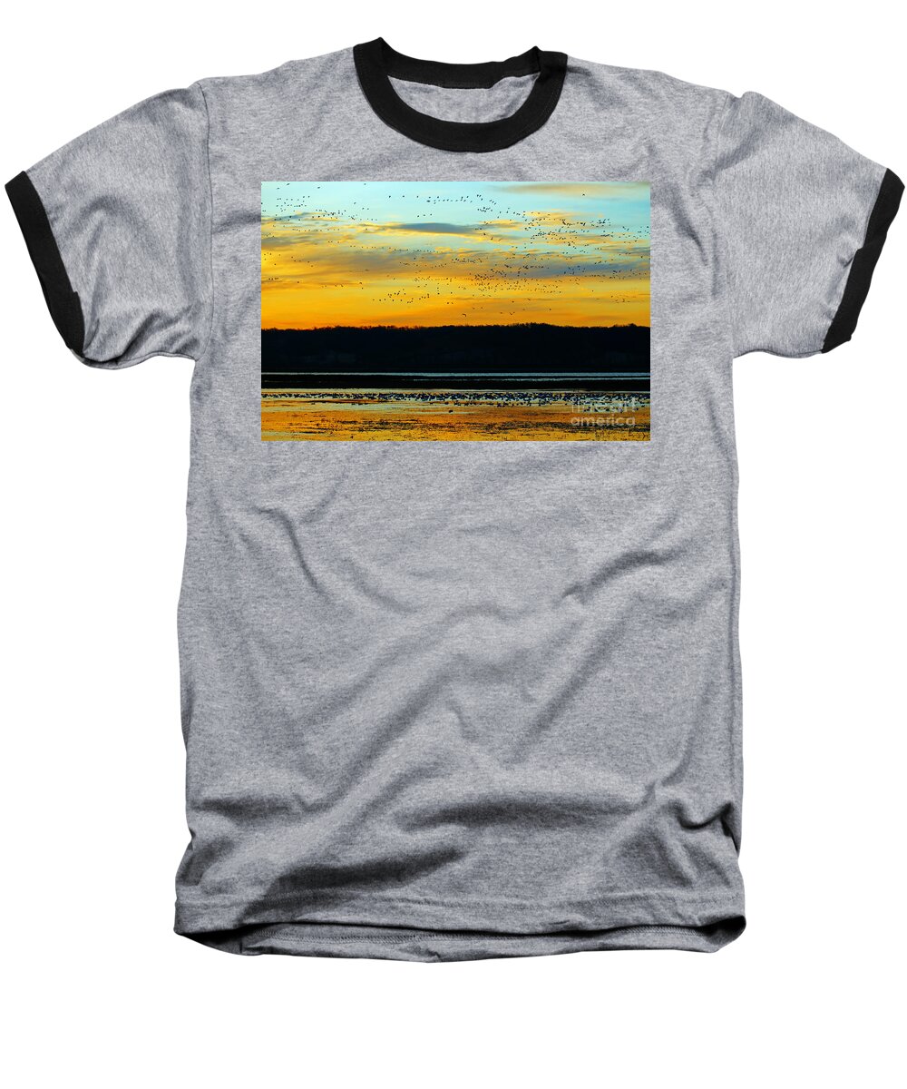 Birds Baseball T-Shirt featuring the photograph The Travelers by Elizabeth Winter