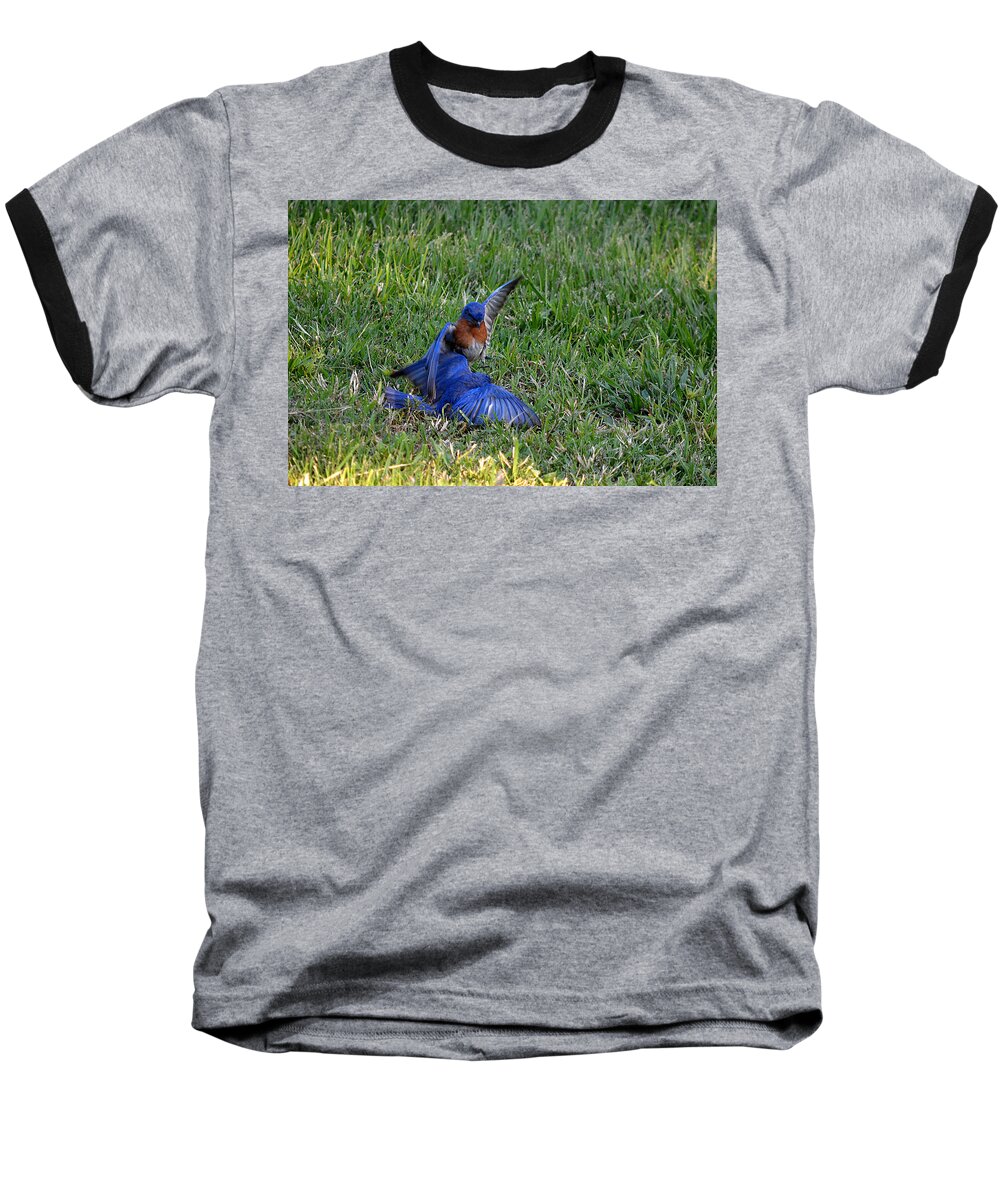 Nature Baseball T-Shirt featuring the photograph The Victor by Judy Wanamaker