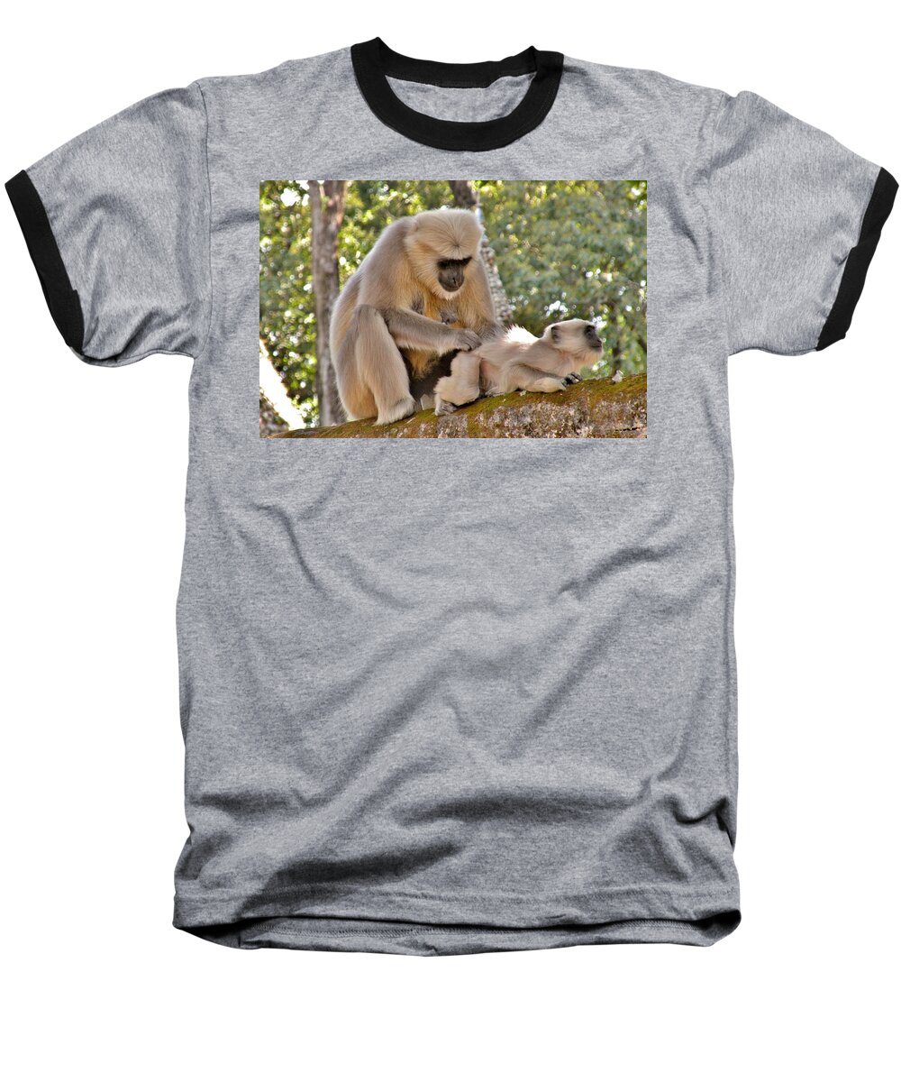 Monkey Baseball T-Shirt featuring the photograph There is Nothing Like a Backscratch - Monkeys Rishikesh India by Kim Bemis