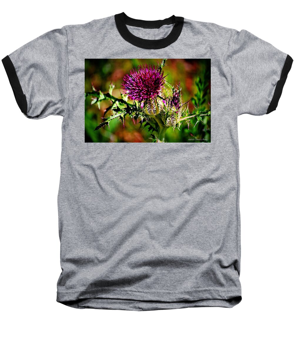 Thistle Baseball T-Shirt featuring the photograph Thistle by Tara Potts