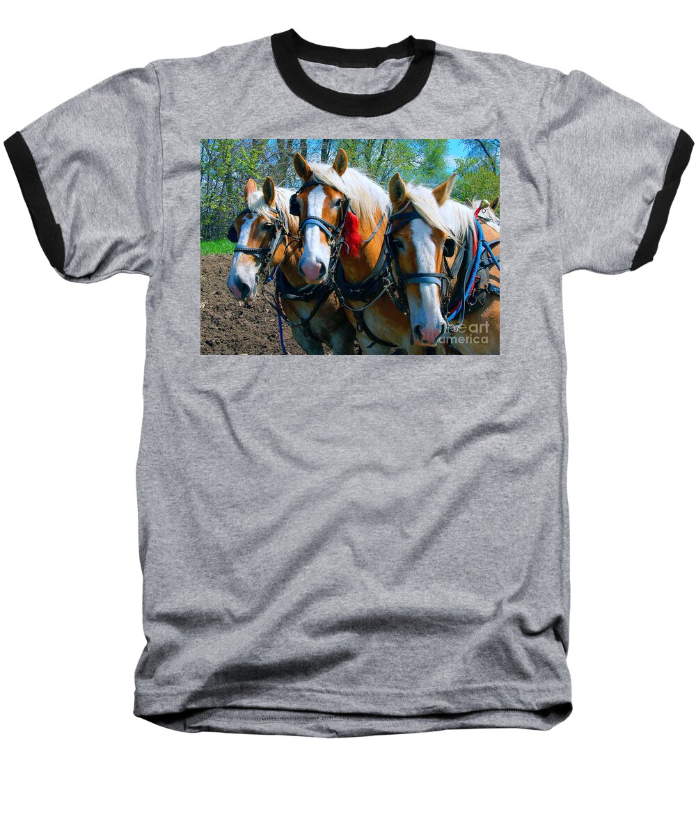  Draft Baseball T-Shirt featuring the photograph Three Horses Break Time by Tom Jelen