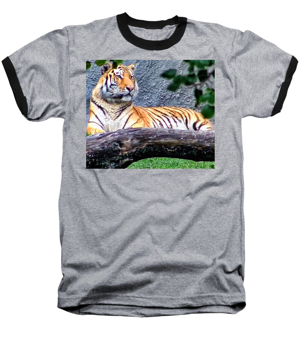 Tiger Baseball T-Shirt featuring the photograph Tiger 1 by Dawn Eshelman