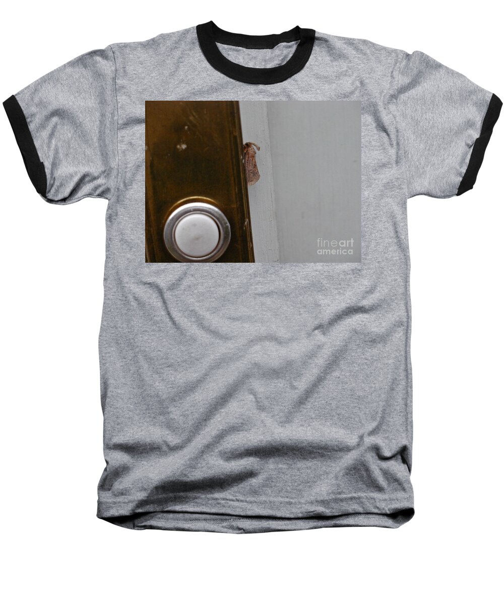Moths Baseball T-Shirt featuring the photograph Tiny Doorbell Moth by Christopher Plummer