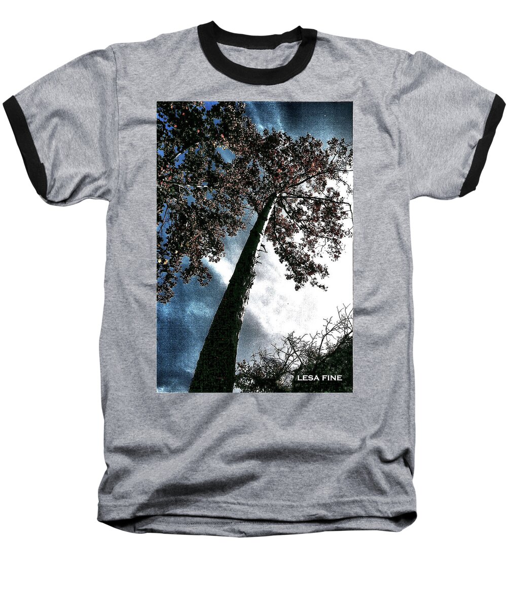 Tree Baseball T-Shirt featuring the photograph Tippy Top Tree II art by Lesa Fine