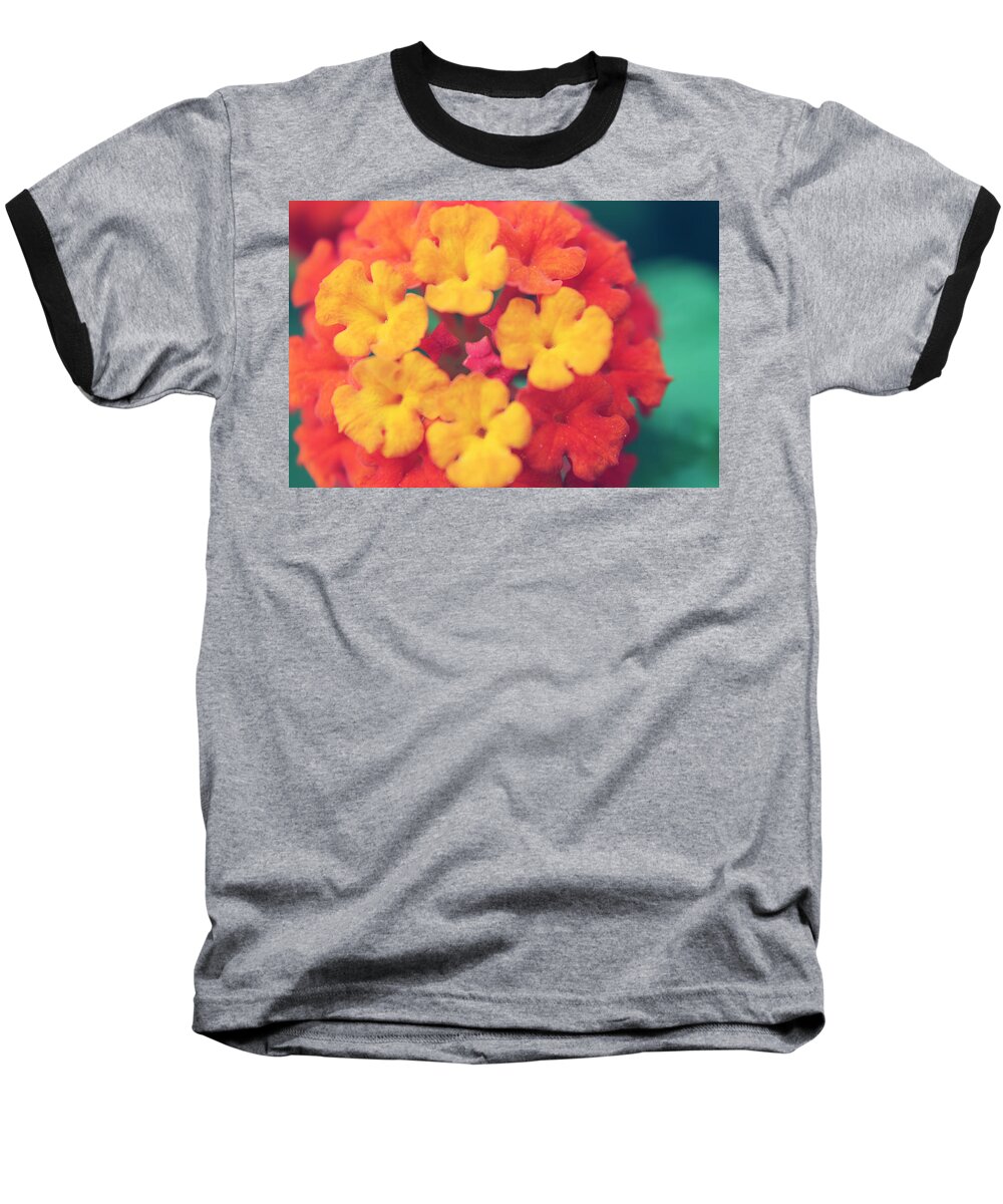 Flowers Baseball T-Shirt featuring the photograph To Make You Happy by Laurie Search
