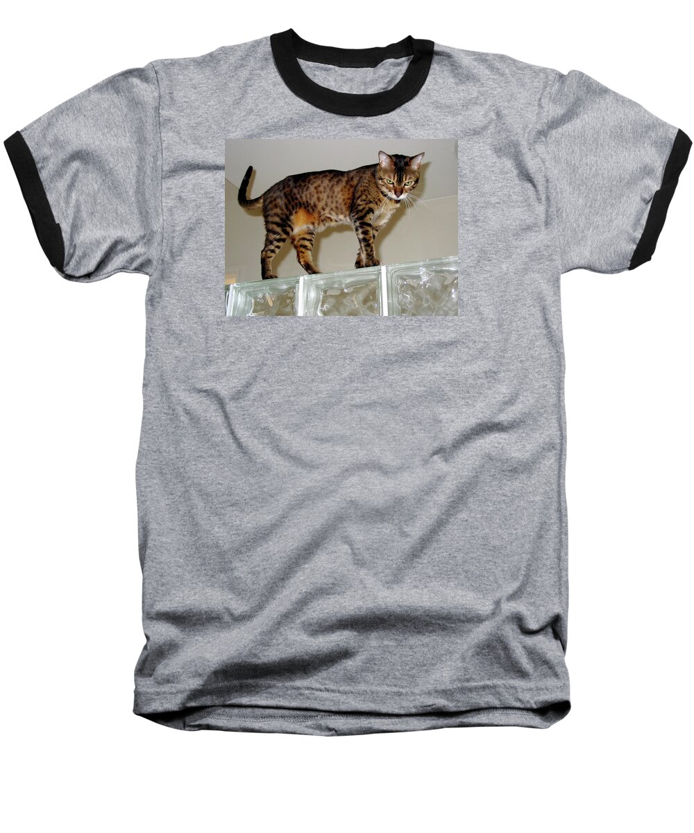 Bengal Cat Baseball T-Shirt featuring the photograph Tora on Glass II by Phyllis Kaltenbach