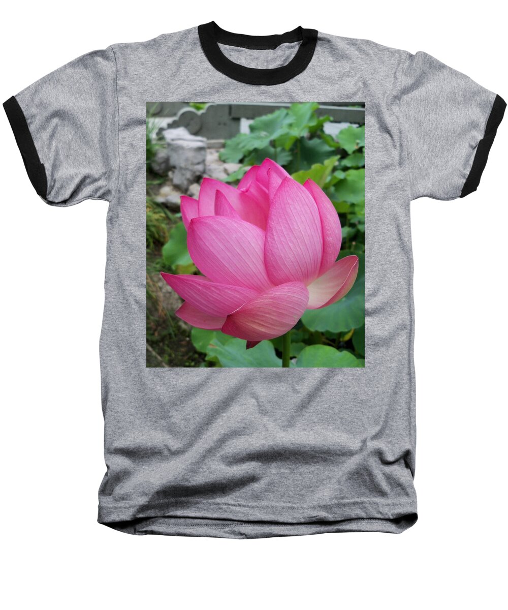 Flower Macro Baseball T-Shirt featuring the photograph Tranquil Lotus by Lingfai Leung