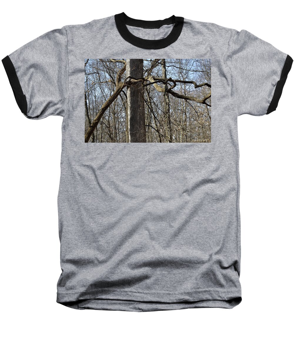 Forest Baseball T-Shirt featuring the photograph Trapped in the Forest by Verana Stark