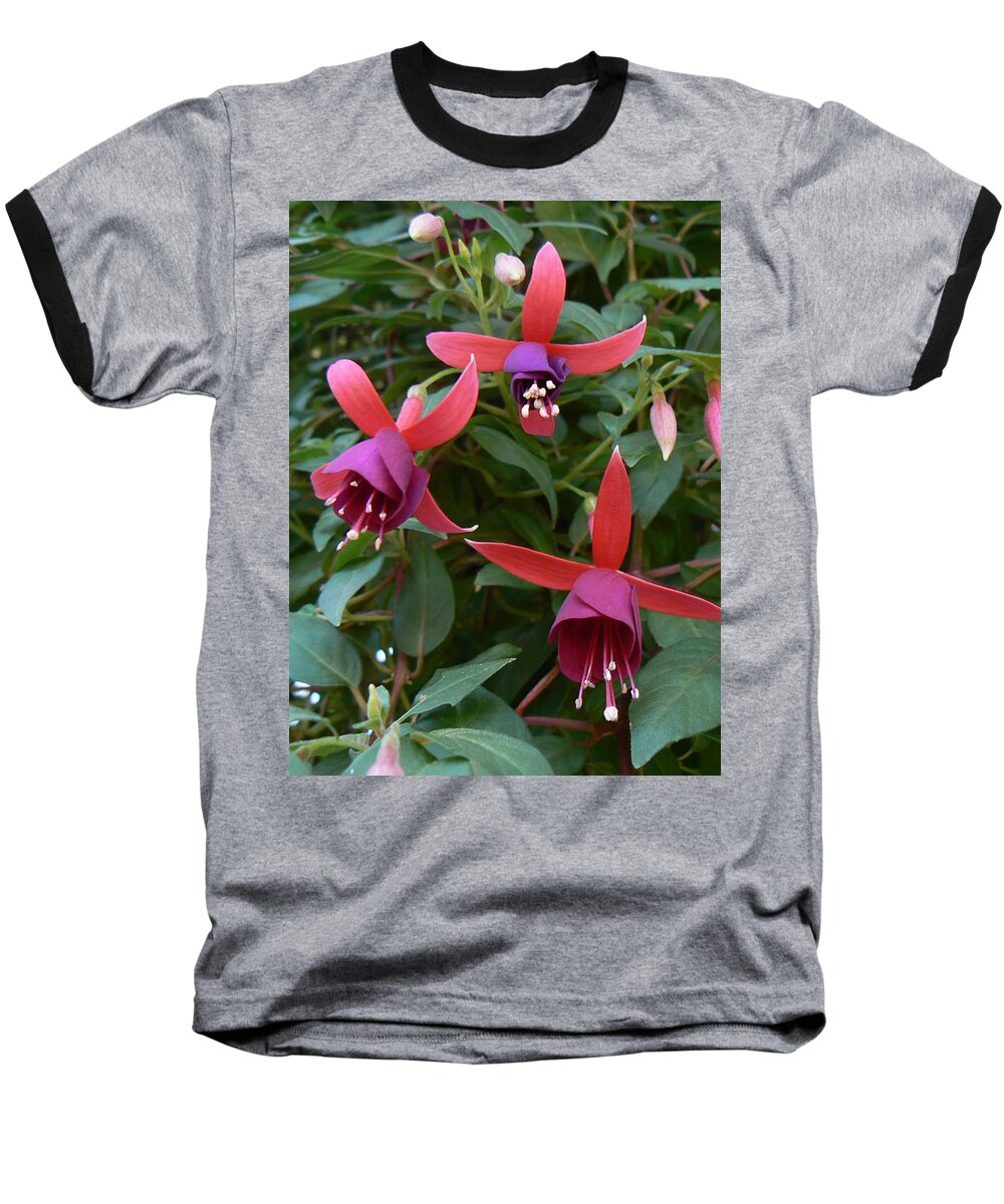 Nature Baseball T-Shirt featuring the photograph Trifecta by Michael Porchik