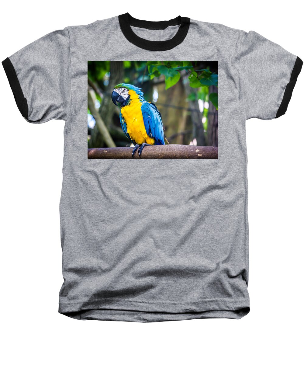 Bird Baseball T-Shirt featuring the photograph Tropical Parrot by Sara Frank