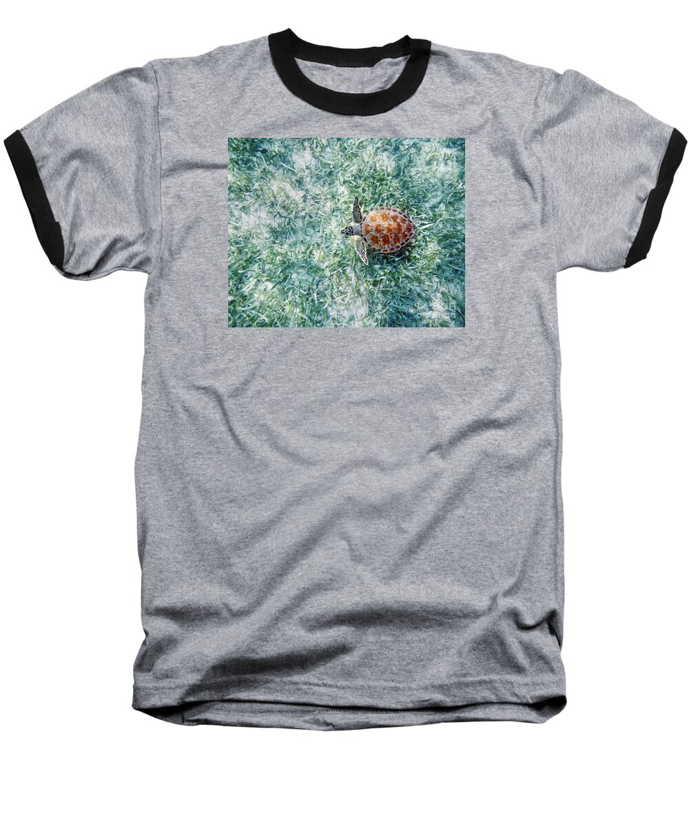 Animal Art Baseball T-Shirt featuring the photograph Turtle Underwater Scene by M Swiet Productions