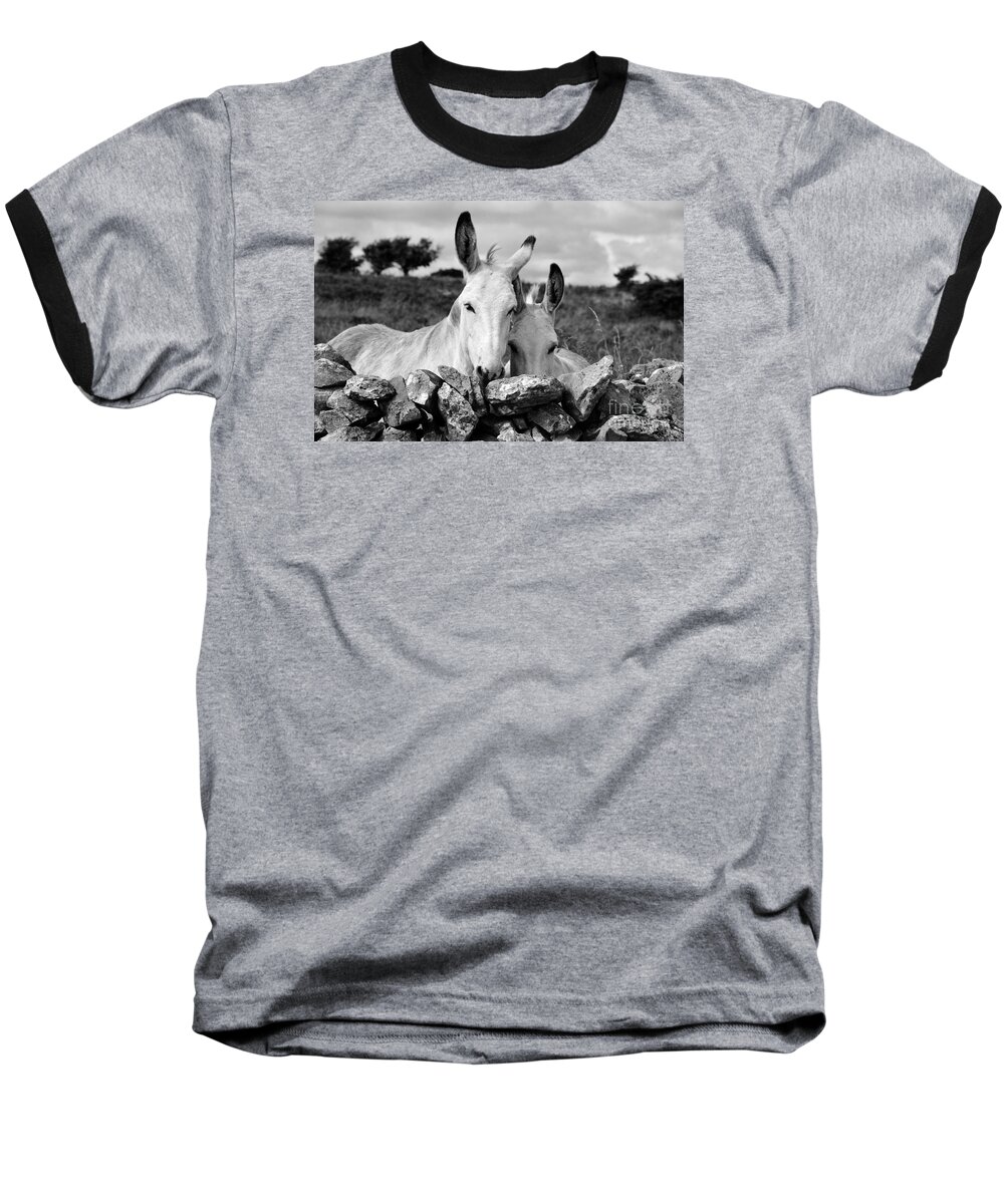 Donkey Baseball T-Shirt featuring the photograph Two white Irish donkeys by RicardMN Photography