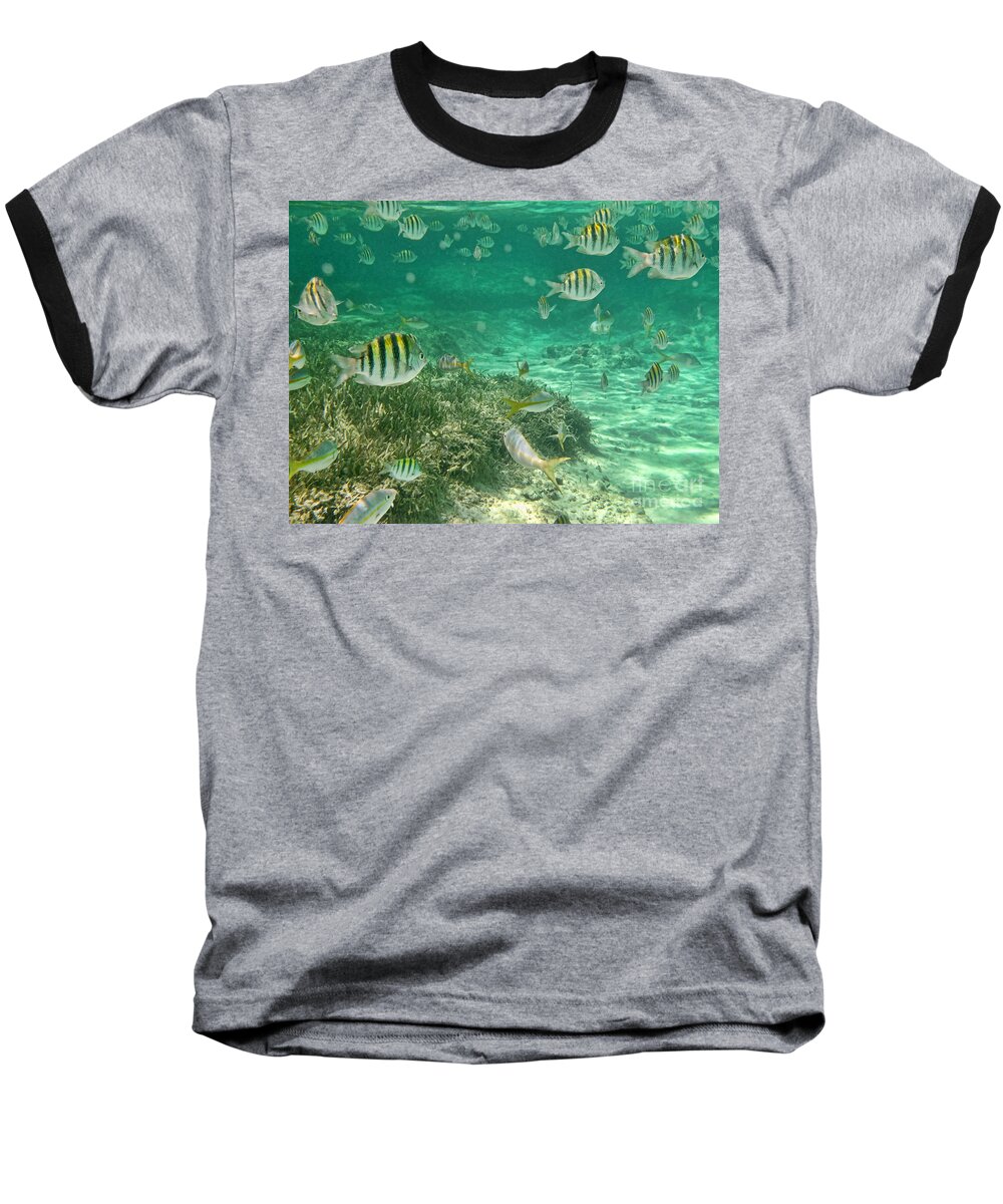 Underwater Baseball T-Shirt featuring the photograph Under The Sea by Peggy Hughes