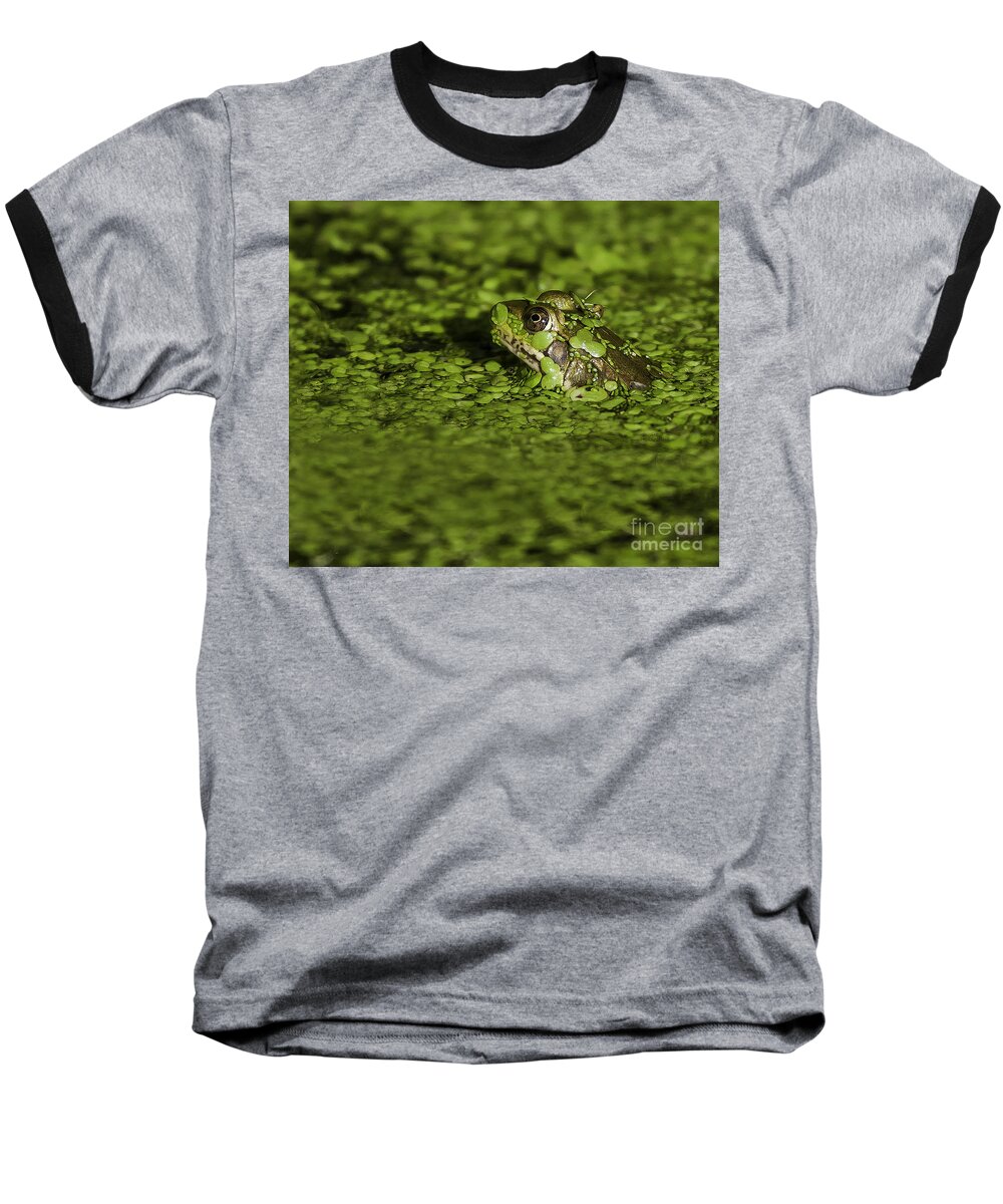 Frog Baseball T-Shirt featuring the photograph Up to my Neck by Jan Killian