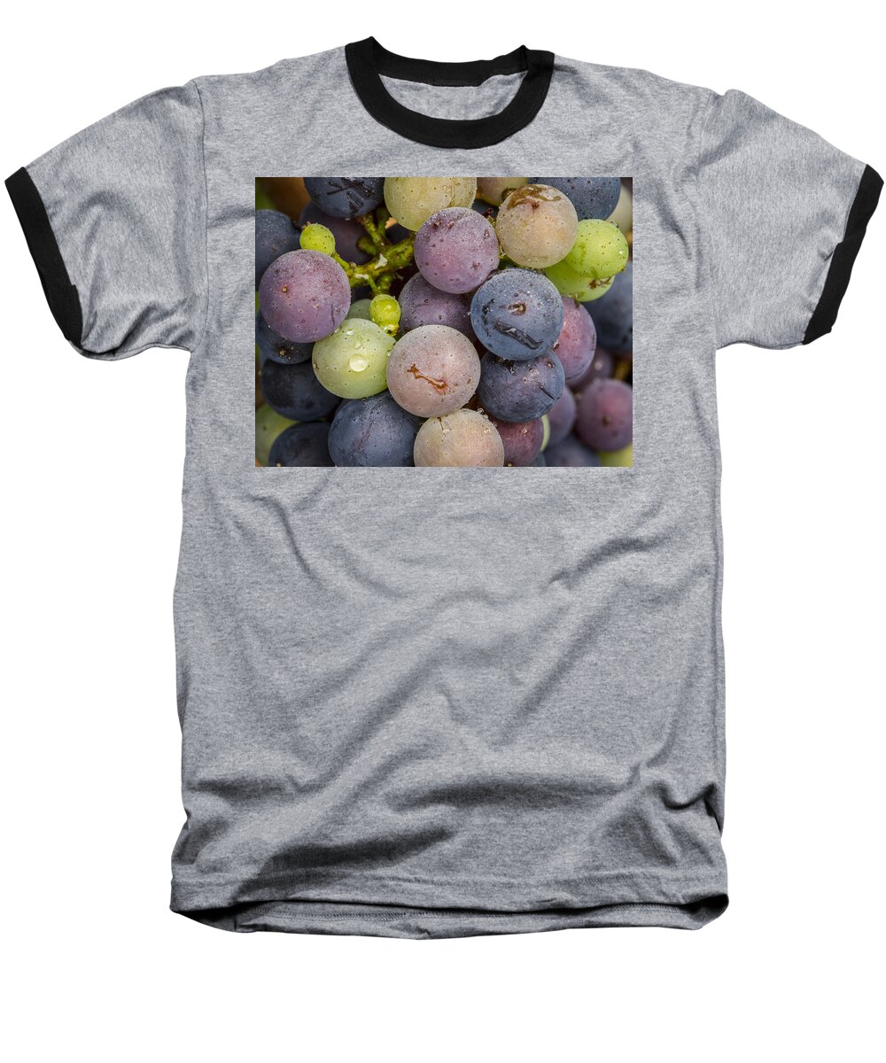 Grape Baseball T-Shirt featuring the photograph Variation by Jean Noren