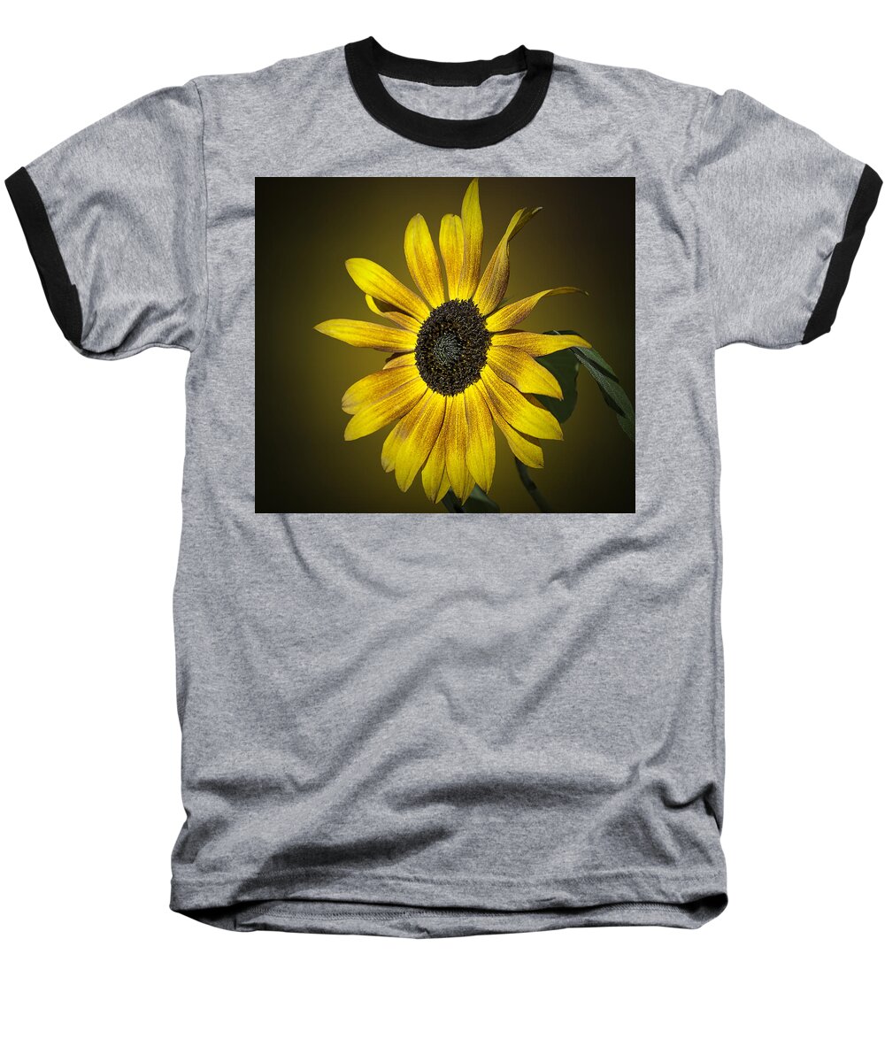 Sunflower Baseball T-Shirt featuring the photograph Velvet Queen Sunflower by Jatin Thakkar