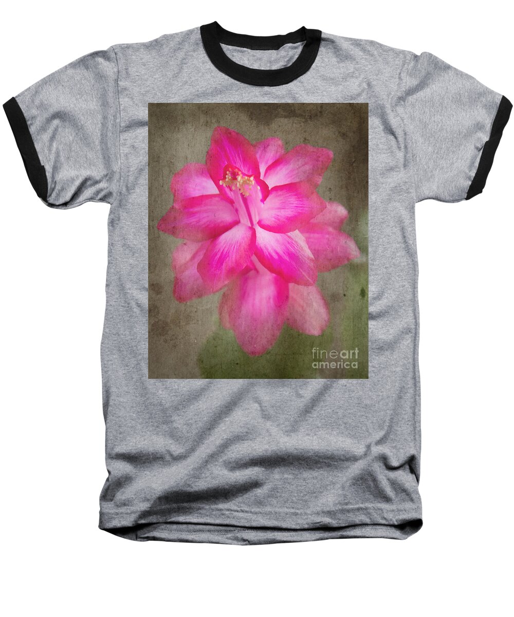 Jemmy Archer Baseball T-Shirt featuring the photograph Vintage Christmas Cactus by Jemmy Archer
