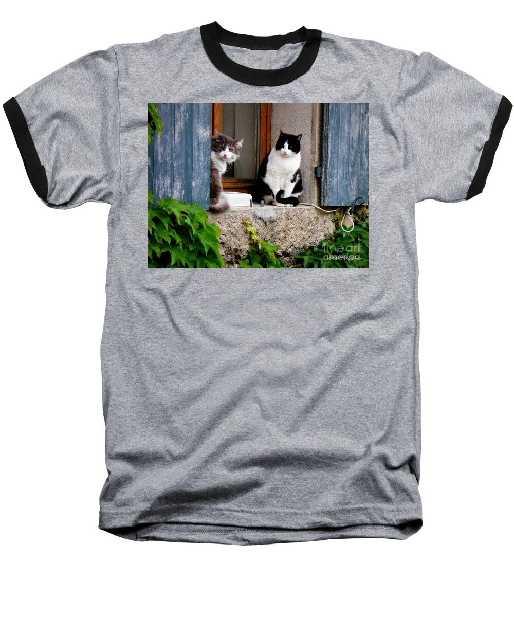Cats Baseball T-Shirt featuring the photograph Waiting for Dinner by Lainie Wrightson