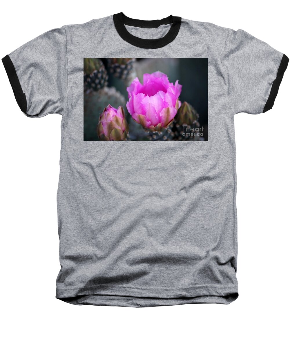 Cactus Baseball T-Shirt featuring the photograph Waking by Marcia Breznay