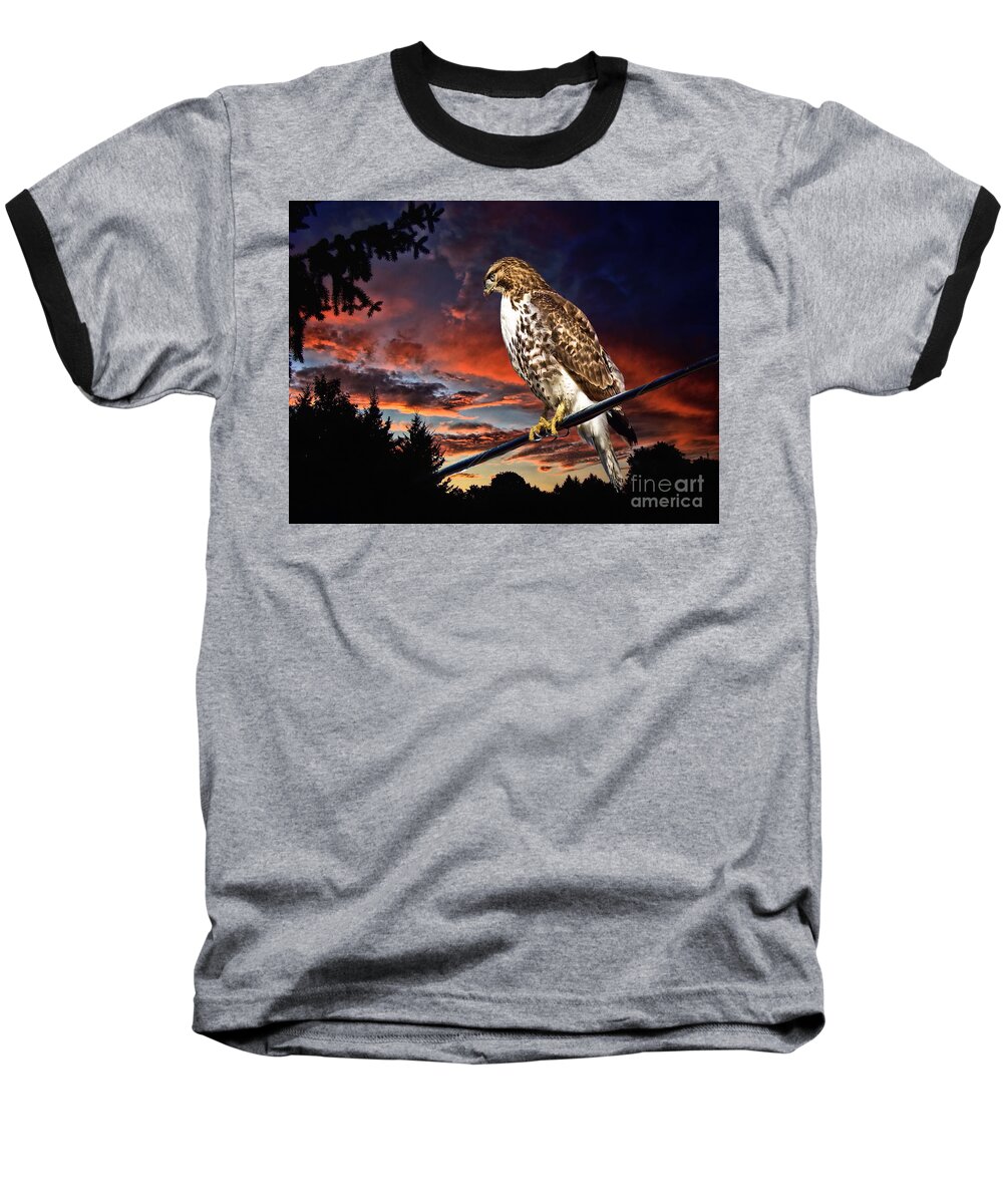 Bird Of Prey Baseball T-Shirt featuring the photograph Watching the Sun Set by Andrea Kollo