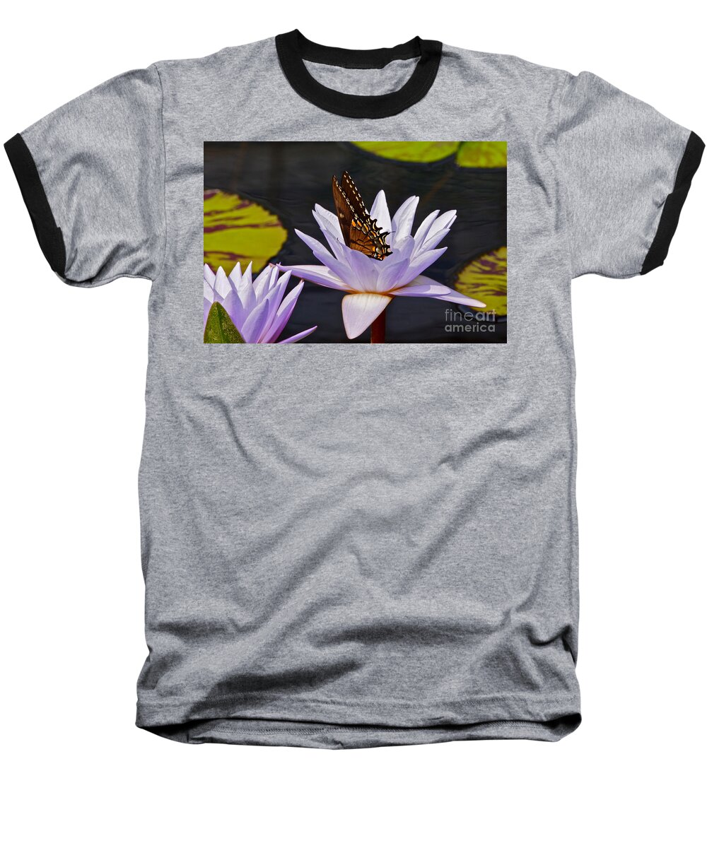 Butterfly And Water Lily Baseball T-Shirt featuring the photograph Water Lily and Swallowtail Butterfly by Byron Varvarigos