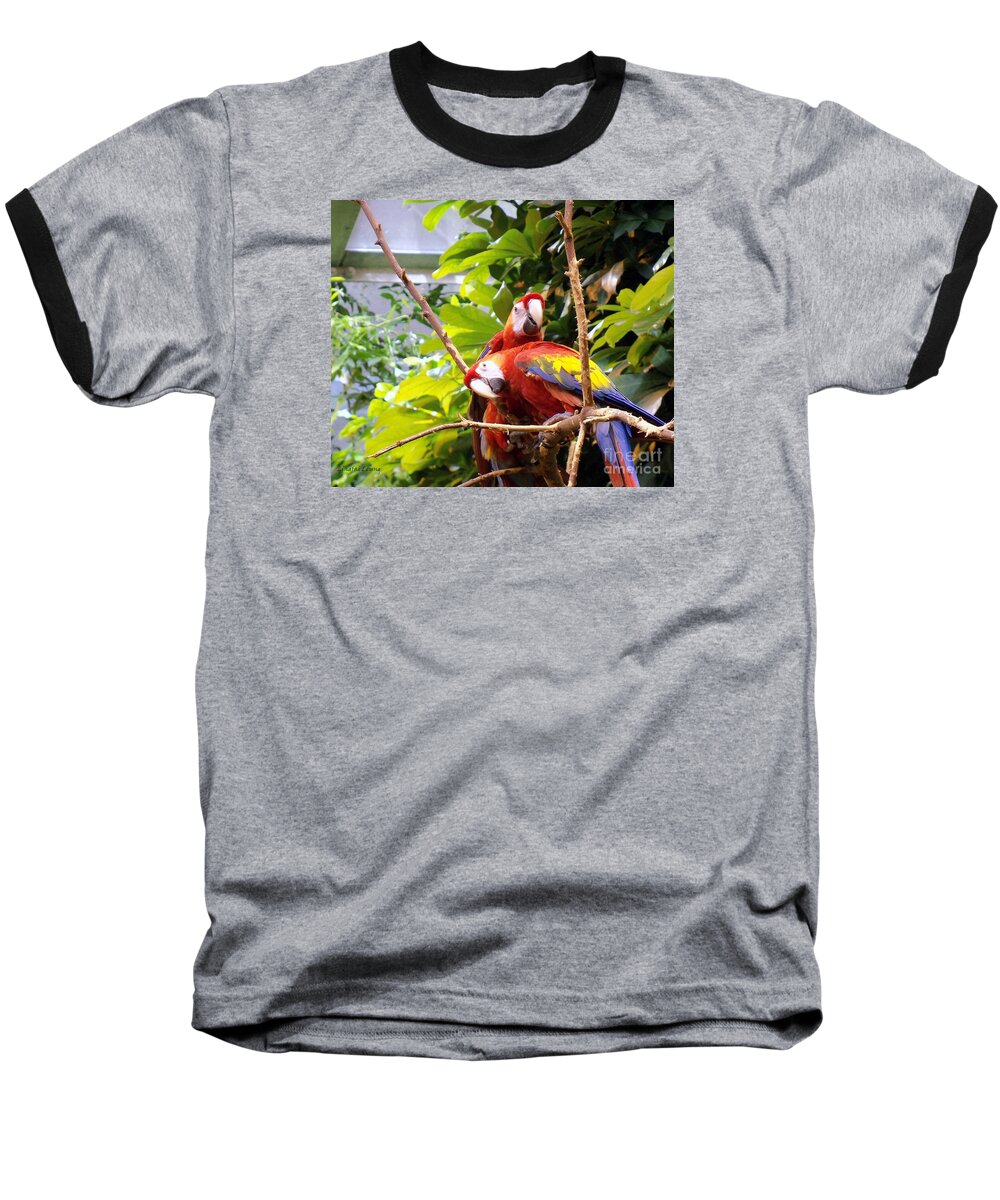 Exotic Bird Baseball T-Shirt featuring the photograph We Are Ready For Pictures by Lingfai Leung