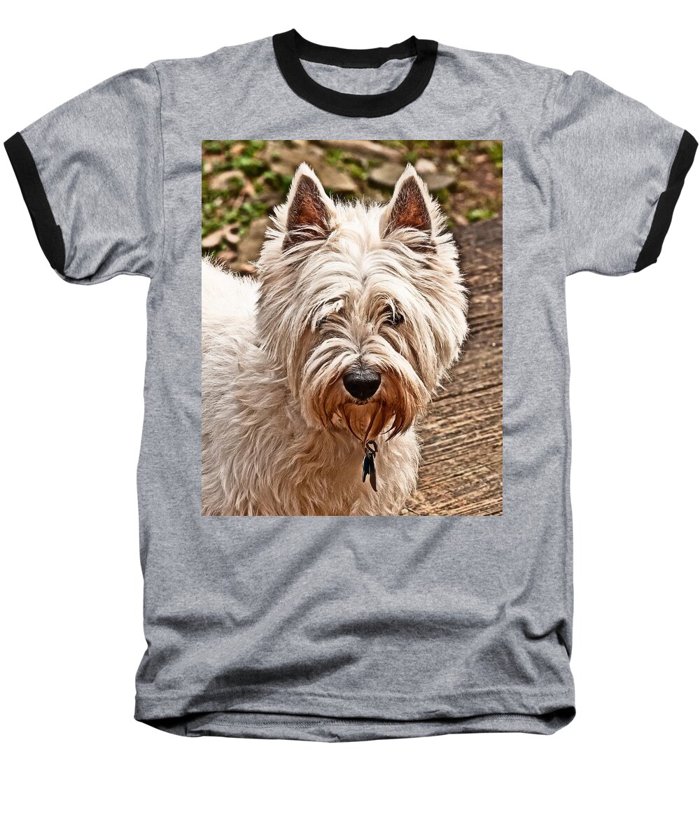 West Highland White Terrier Baseball T-Shirt featuring the photograph West Highland White Terrier by Robert L Jackson