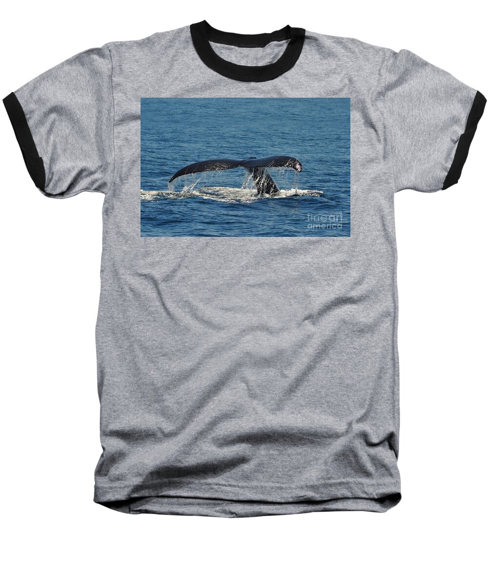 Whale Baseball T-Shirt featuring the photograph Whale Tail by Randi Grace Nilsberg