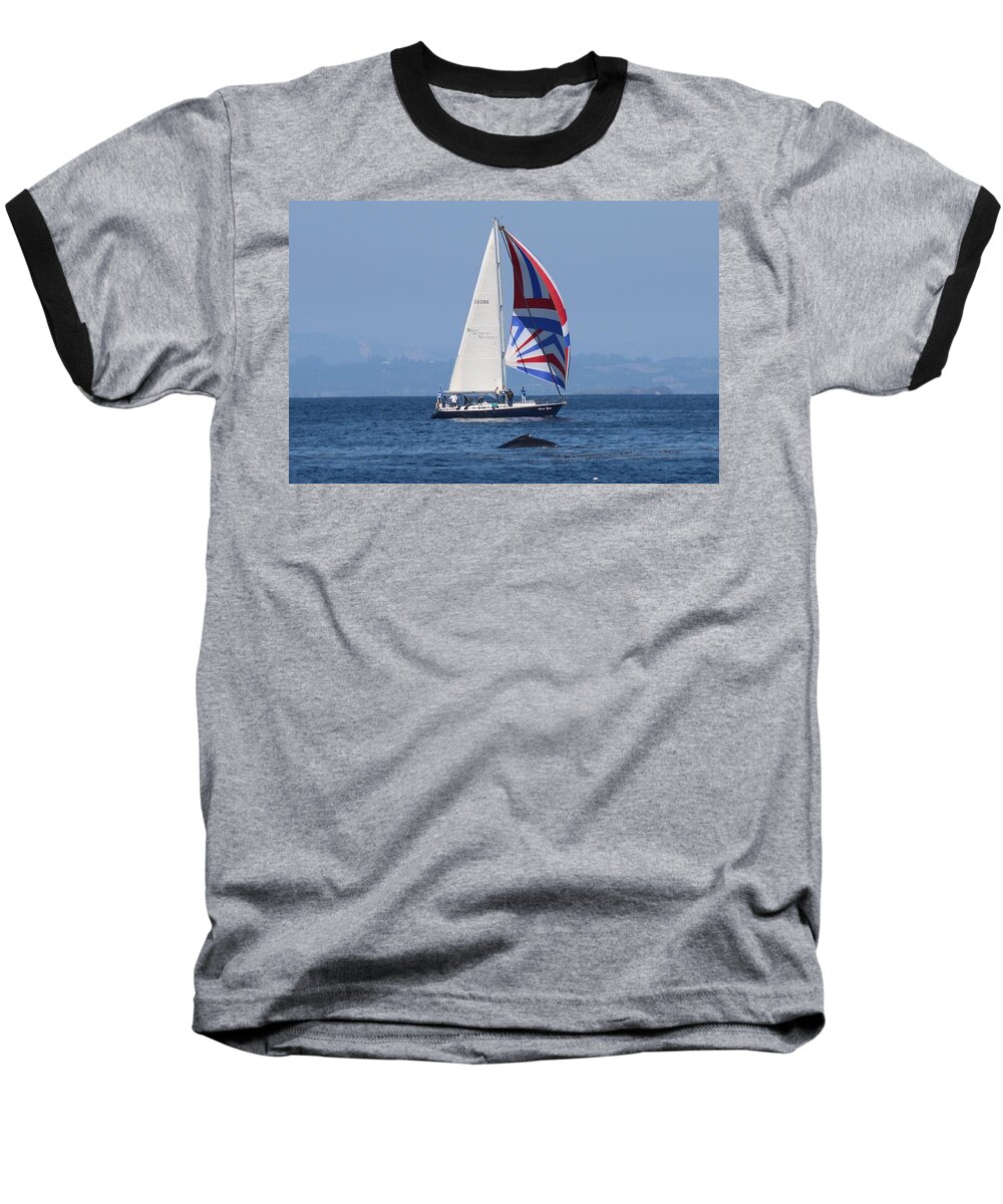  Baseball T-Shirt featuring the photograph Whale Watching 2 by Christy Pooschke