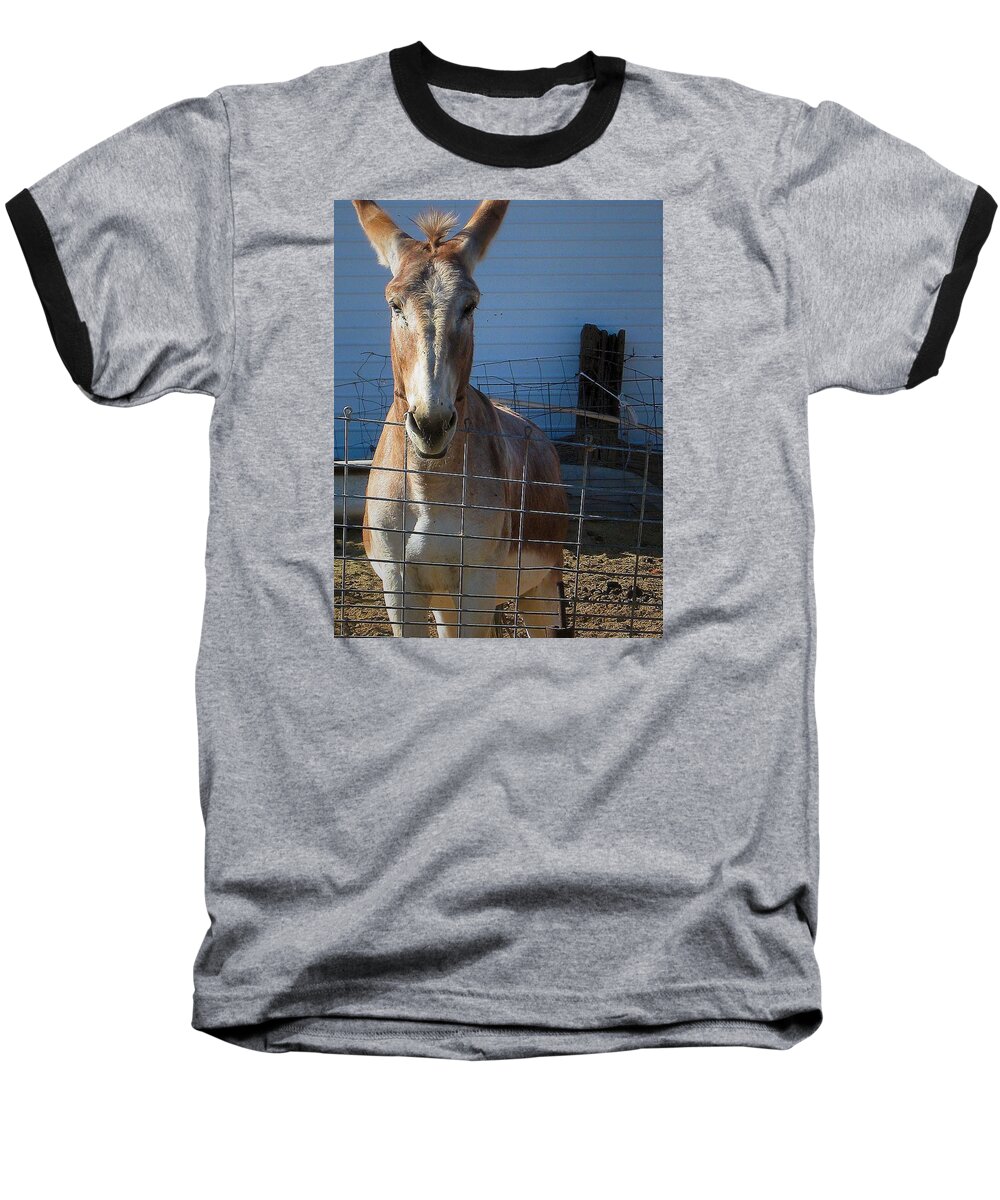 Donkey Baseball T-Shirt featuring the photograph What's Up by Nadalyn Larsen