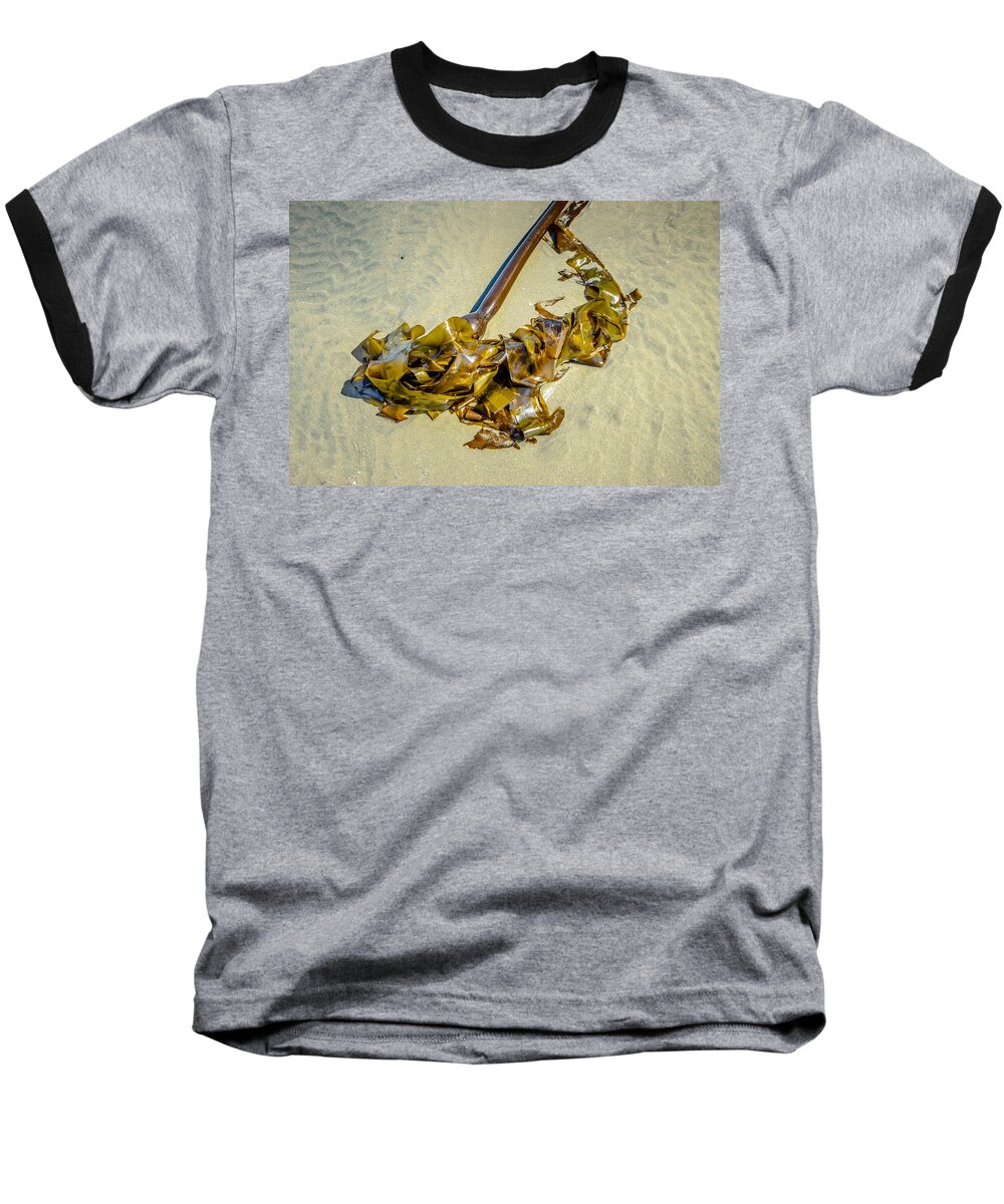 Bull Kelp Baseball T-Shirt featuring the photograph Whipped Up On Shore by Roxy Hurtubise