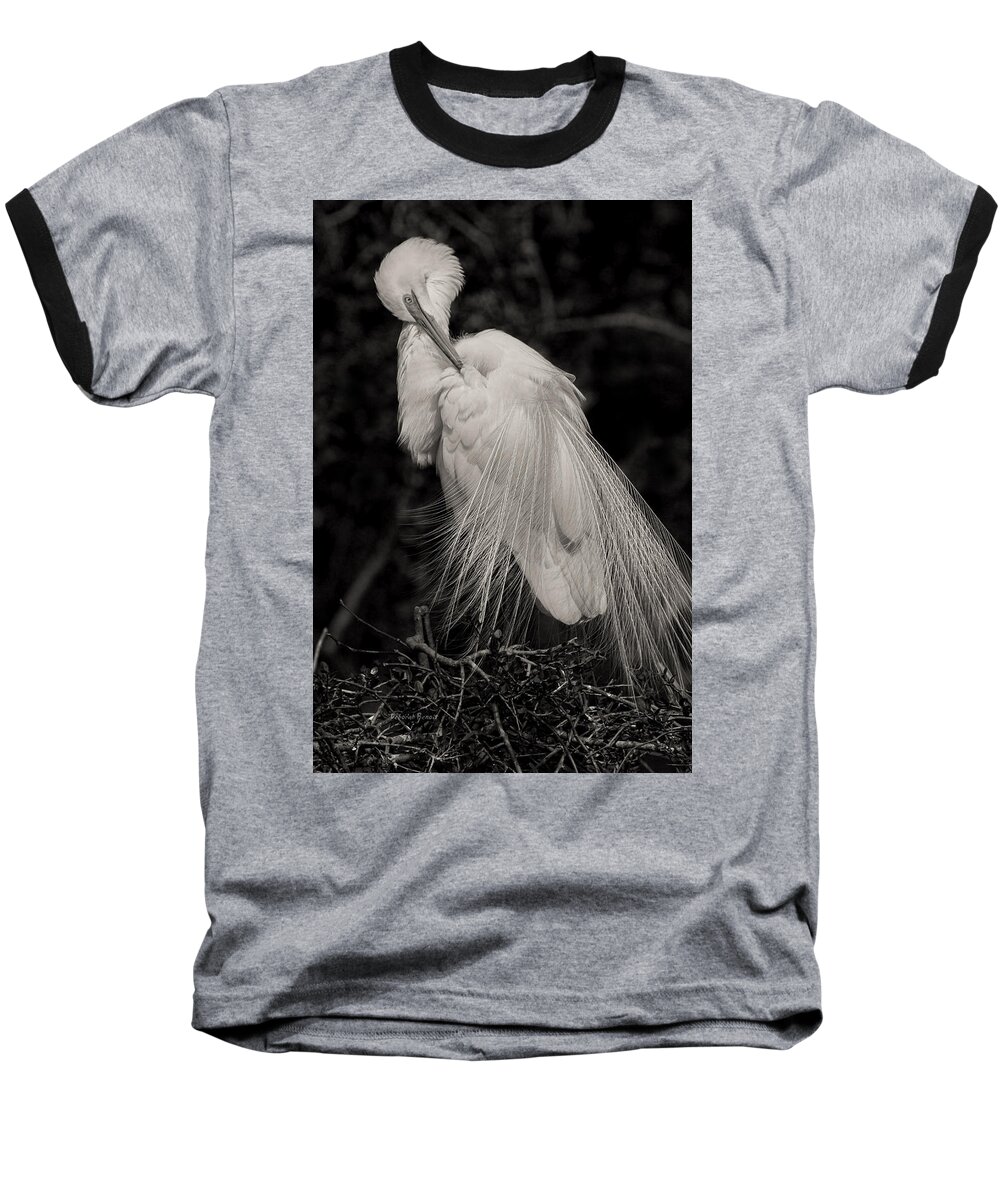 Giant Egret Baseball T-Shirt featuring the photograph Whispy and Delicate by Deborah Benoit