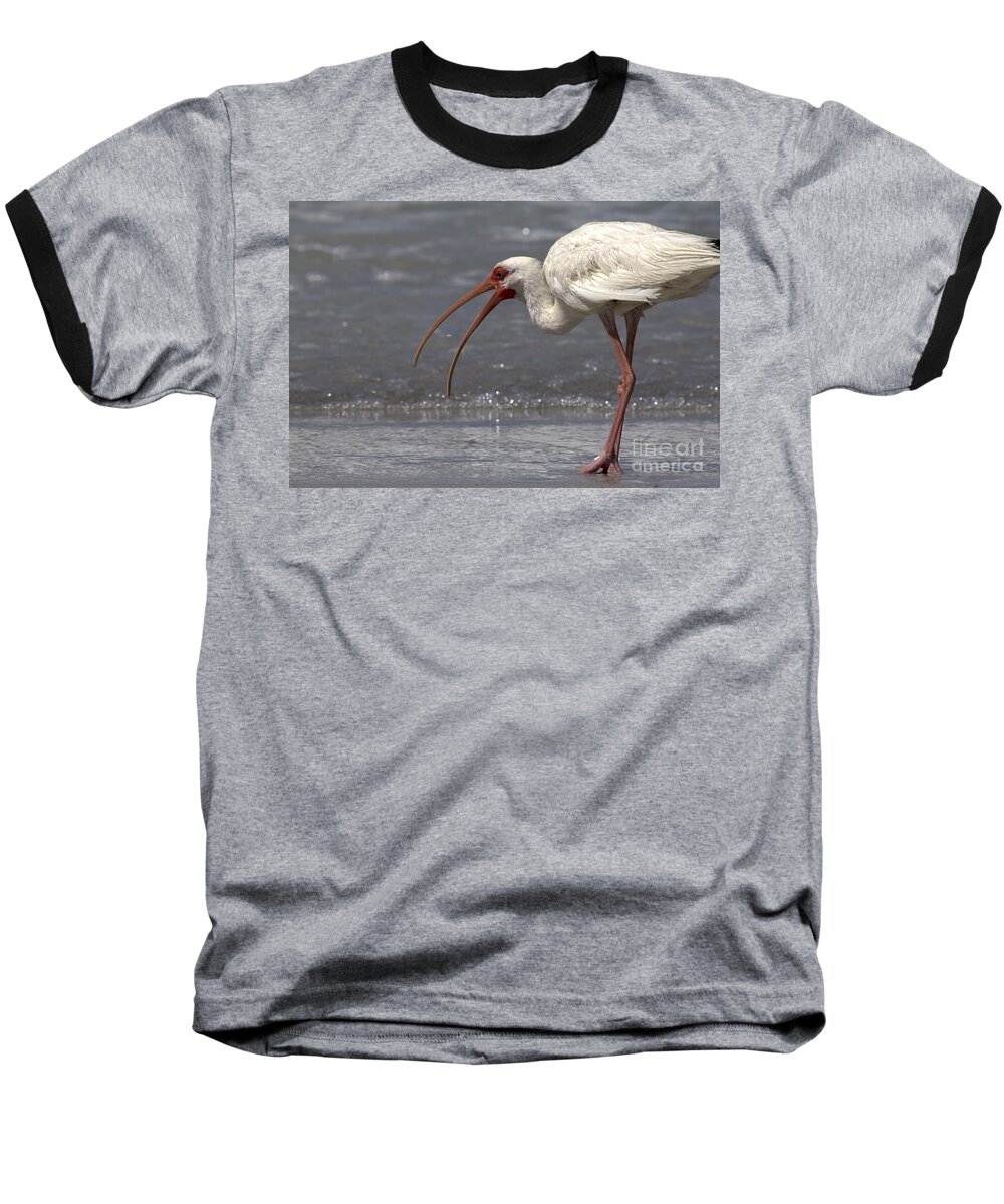 White Ibis Baseball T-Shirt featuring the photograph White Ibis on the Beach by Meg Rousher