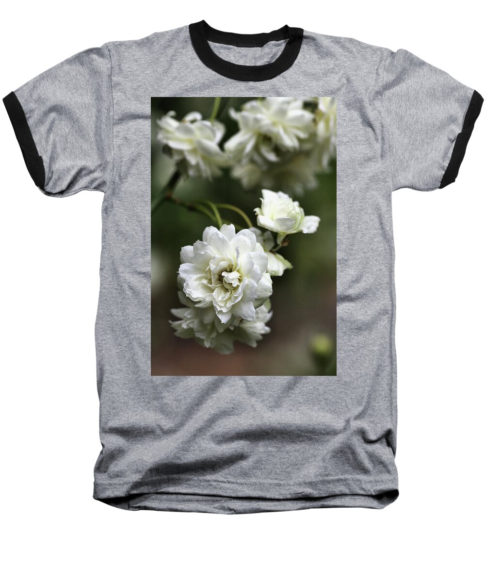 Plant Baseball T-Shirt featuring the photograph White Roses by Joy Watson