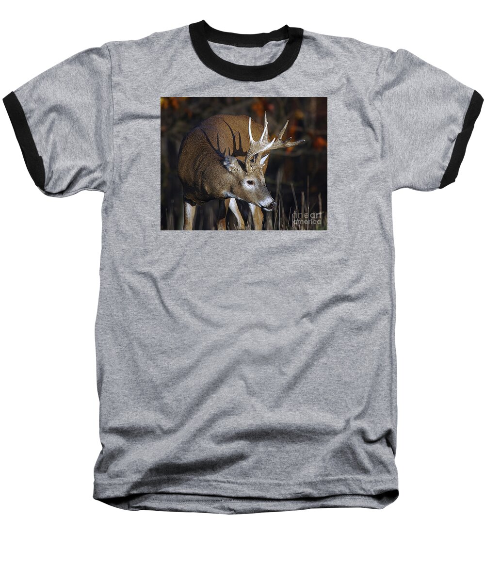 Whitetail Baseball T-Shirt featuring the photograph White-tailed Deer Antler Shadow by Timothy Flanigan