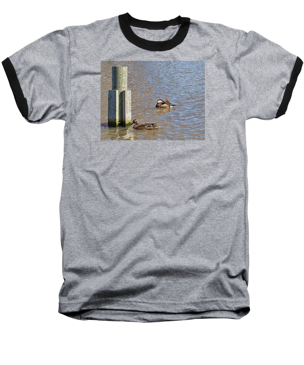 Female Baseball T-Shirt featuring the photograph who is who by Leif Sohlman- by Leif Sohlman
