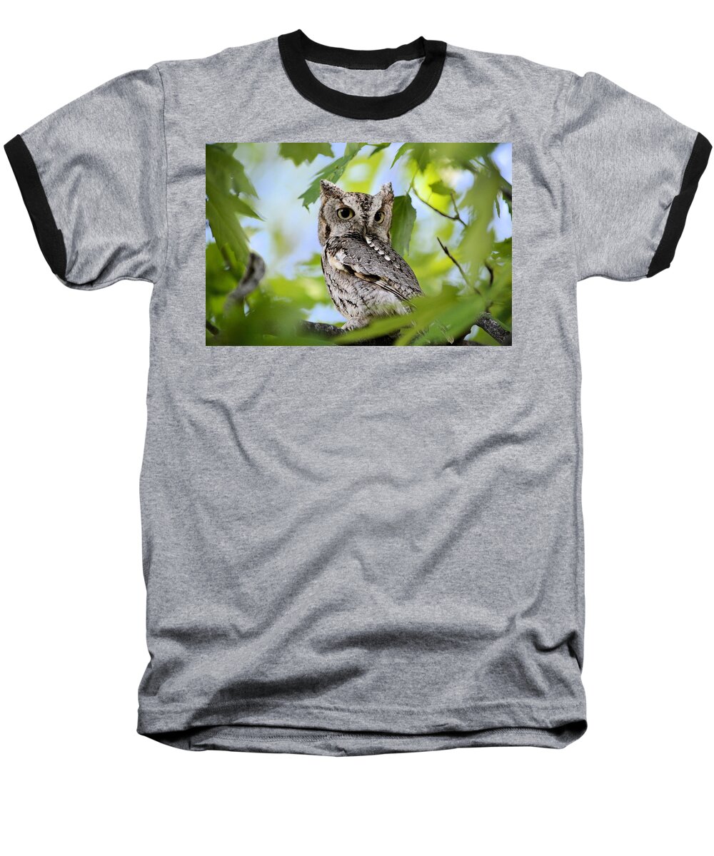 Owl Baseball T-Shirt featuring the photograph WHO was that by Bonfire Photography