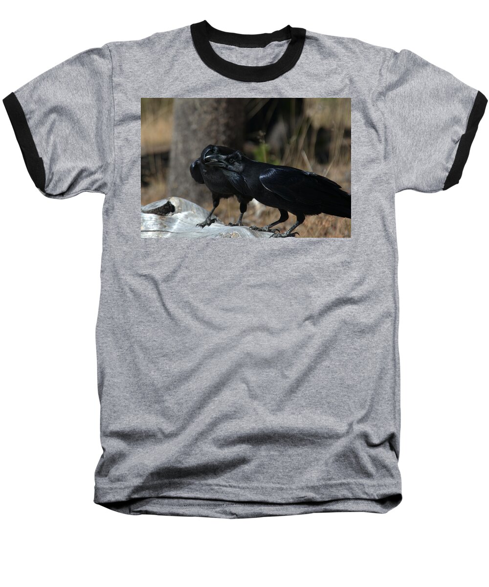 Raven Baseball T-Shirt featuring the photograph Whoa you should see a dentist by Frank Madia