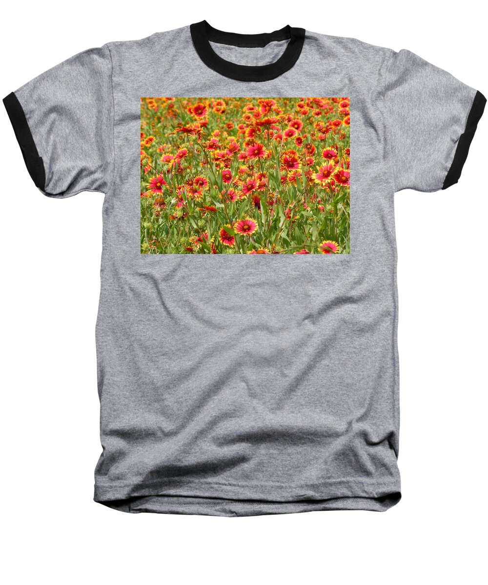 Wild Flower Baseball T-Shirt featuring the photograph Wild Red Daisies #1 by Robert ONeil