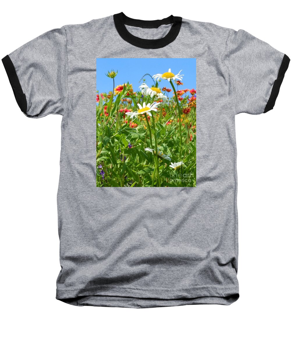 Wild Flower Baseball T-Shirt featuring the photograph Wild White Daisies #2 by Robert ONeil